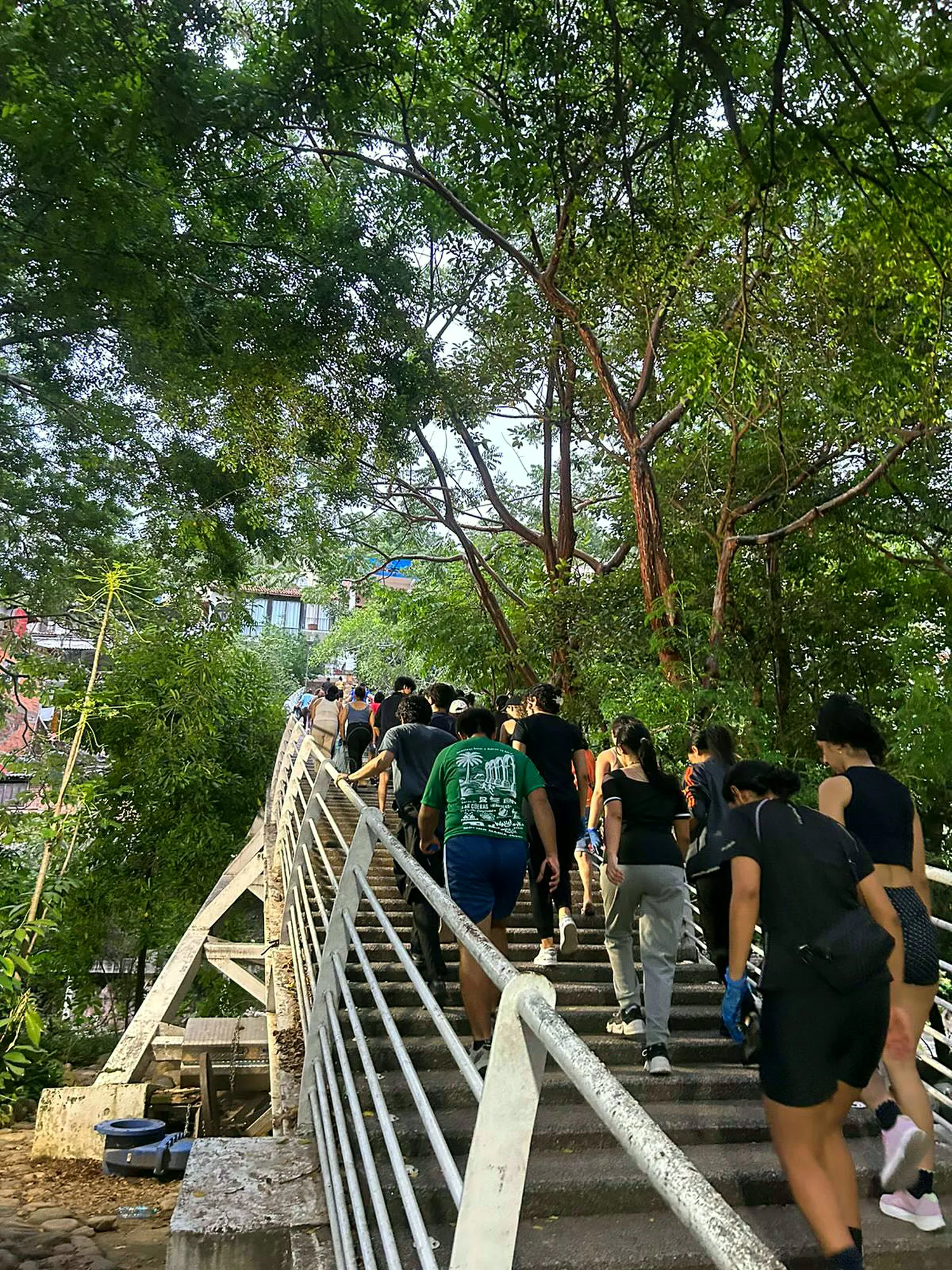 Corredores subiendo una escalera blanca entre árboles