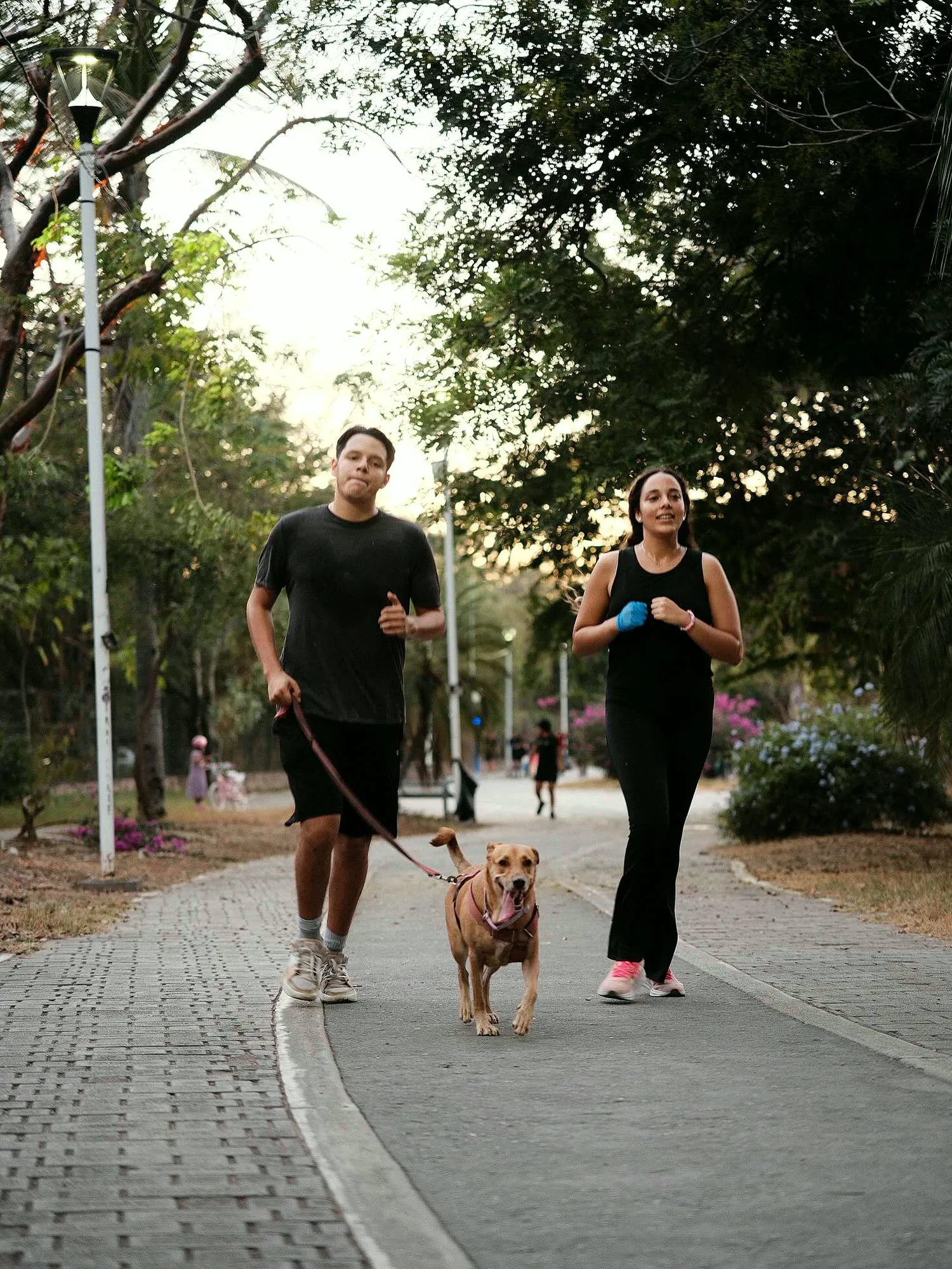 Pareja corriendo con su perro en el Parque Lineal